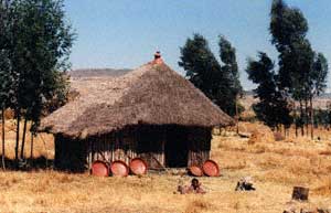 Kikuyu Hut